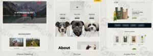 astra premium starter templates plugin - Astra Premium Starter Templates v4.4.19 - Your Shortcut to Stunning Websites