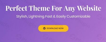 astra pro plugin - Astra Pro v4.10 - Elevate Every Pixel.