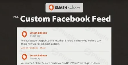 custom facebook feed pro smash plugin - Custom Facebook Feed Pro Smash v4.7.3
