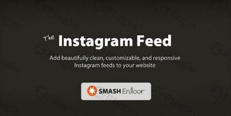 custom instagram feed pro plugin - Downloads