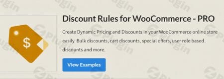 discount rules for woocommerce pro plugin - Discount Rules for WooCommerce PRO v2.6.9