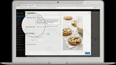 tasty pins plugin - Tasty Pins v2.3
