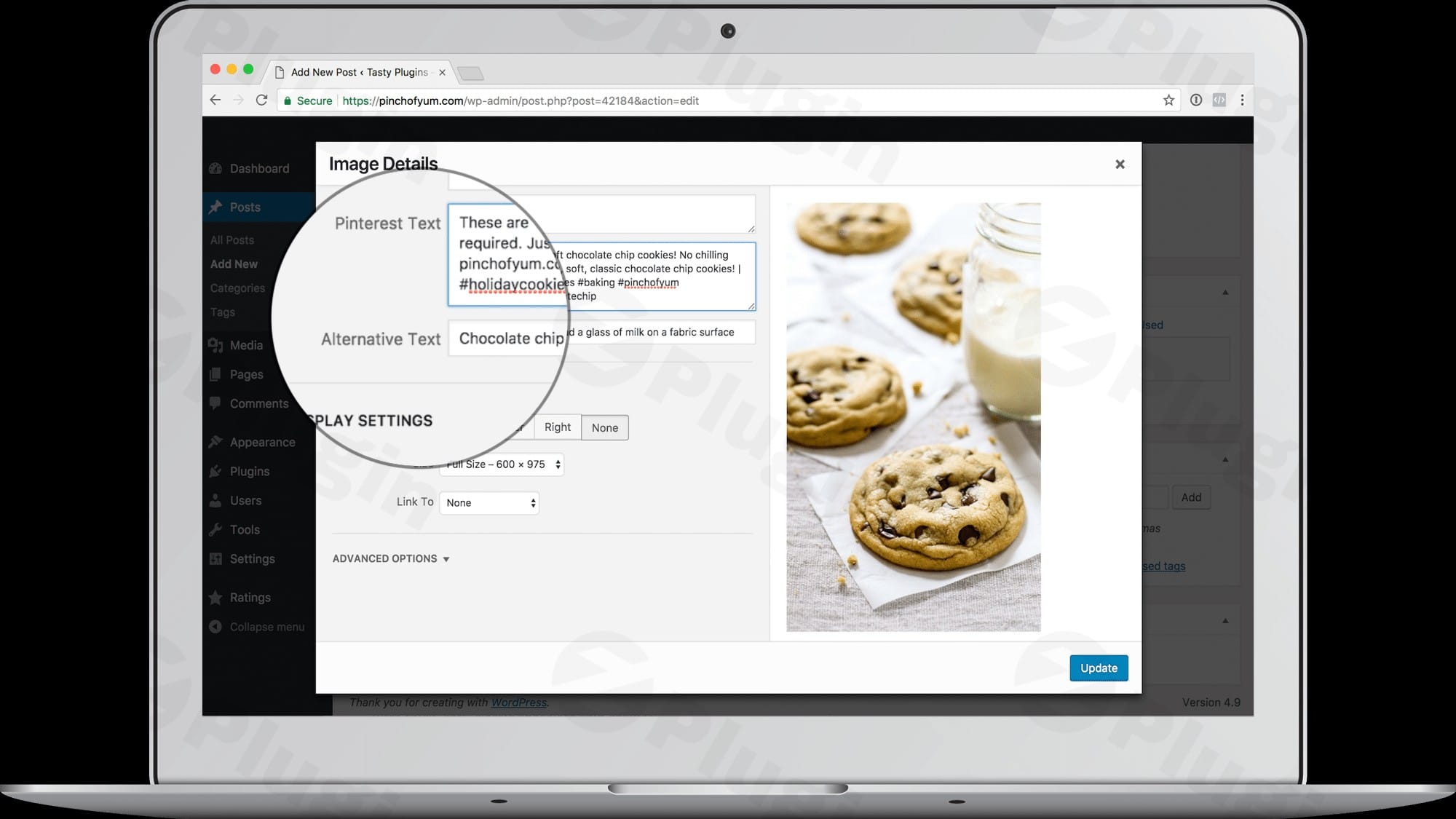 Wordpress Pick 9 tasty pins plugin logo - Wordpress Pick