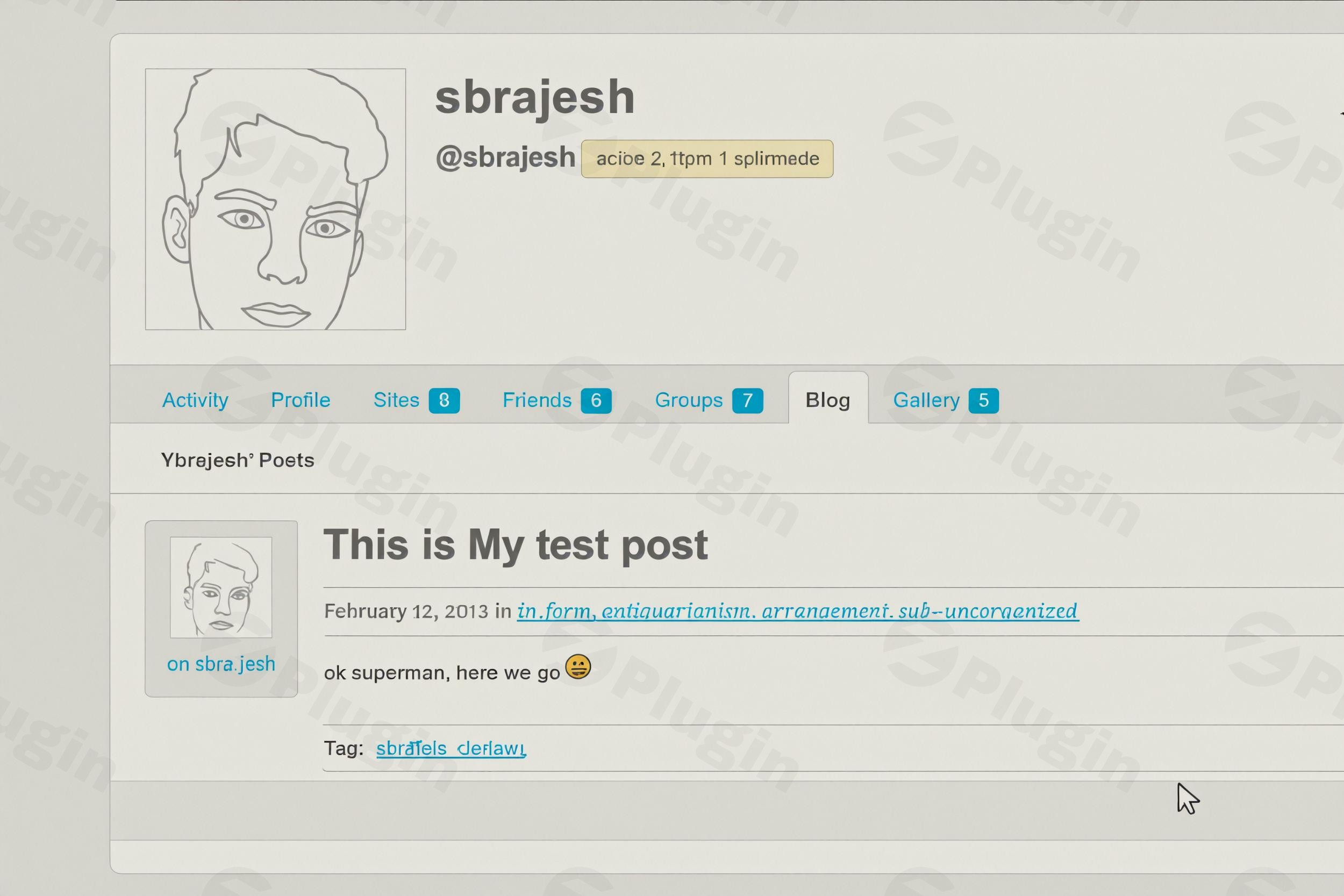 buddyblog pro plugin - Download the Best WordPress Plugins in One Place​