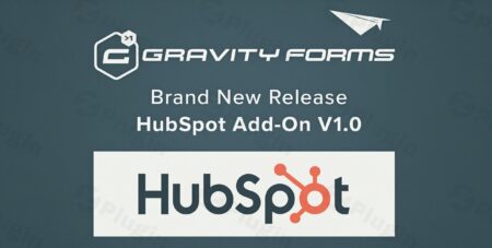 gravity forms hubspot add plugin - Gravity Forms Hubspot Add v2.3.0