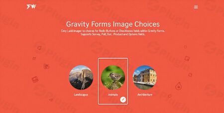 Gravity Forms Image Choices Add-on By Jetsloth gravity forms image choices add plugin - Gravity Forms Image Choices Add-on By Jetsloth