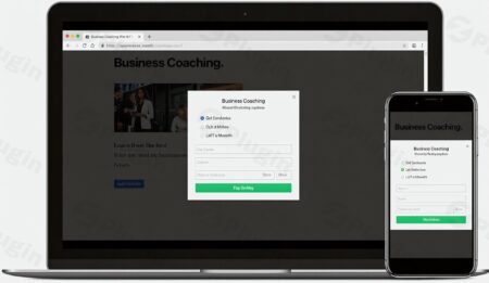 wp simple pay pro plugin - Wp Simple Pay Pro v4.13.1