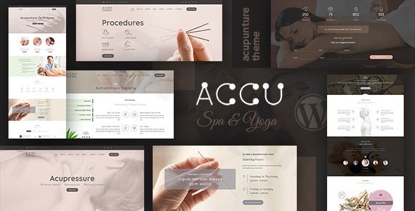 accu healthcare massage wordpress theme plugin - Download WordPress Themes in One Place​