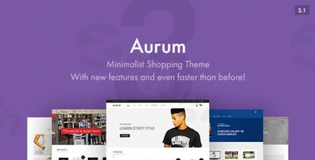 aurum minimalist shopping theme plugin - Aurum - Minimalist Shopping Theme