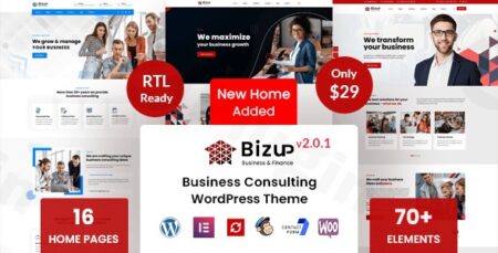 bizup business consulting wordpress theme plugin - Bizup - Business Consulting Wordpress Theme