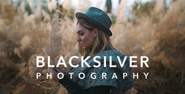 blacksilver photography theme for wordpress plugin - Download WordPress Themes in One Place​
