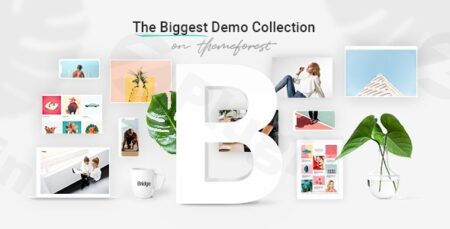 bridge creative multi purpose wordpress theme by qode plugin - Bridge - Creative Multi-purpose Wordpress Theme By Qode