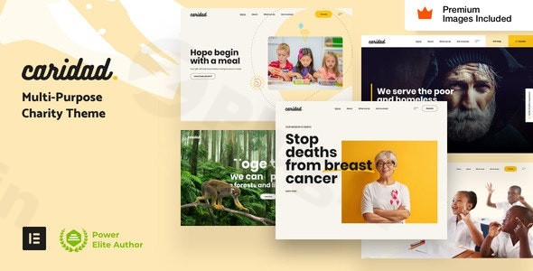 caridad charity wordpress theme plugin - Download WordPress Themes in One Place​