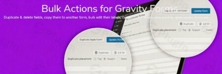 Gravity Forms Bulk Actions Add-on gravity forms bulk actions add plugin - Gravity Forms Bulk Actions Add-on