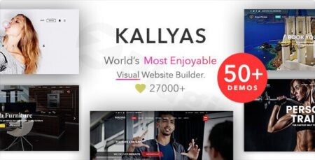kallyas creative ecommerce multi purpose wp theme plugin - Kallyas - Creative Ecommerce Multi-purpose Wp Theme