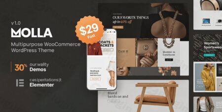 molla multi purpose woocommerce theme plugin - Molla | Multi-purpose Woocommerce Theme