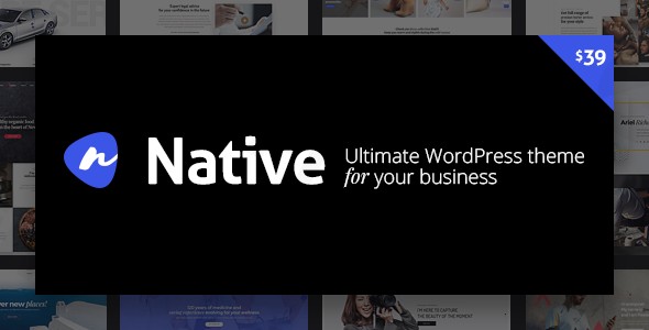 native stylish multi purpose creative wp theme plugin - Download WordPress Themes in One Place​