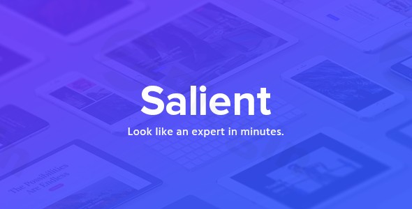 salient creative multipurpose woocommerce theme plugin - Download WordPress Themes in One Place​