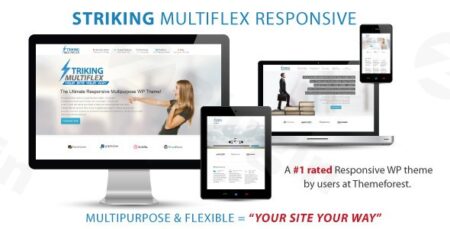 Striking – Multiflex & Ecommerce Responsive Wp Theme striking multiflex ecommerce responsive wp theme plugin - Striking - Multiflex & Ecommerce Responsive Wp Theme