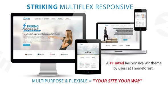 striking multiflex ecommerce responsive wp theme plugin - Download WordPress Themes in One Place​