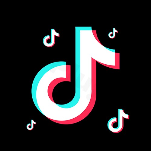 tiktok feed pro plugin - Download the Best WordPress Plugins in One Place​
