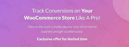 woocommerce conversion tracking pro plugin - Woocommerce Conversion Tracking Pro