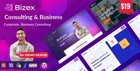 bizex business consulting wordpress theme plugin - Bizex - Business Consulting Wordpress Theme
