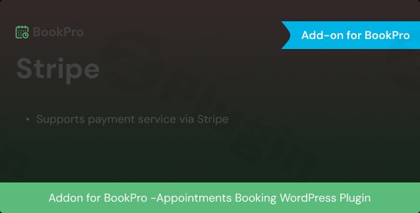 stripe payment add plugin - Download the Best WordPress Plugins in One Place​