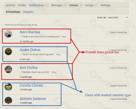 Buddypress Auto Friendship Pro buddypress auto friendship pro plugin - Buddypress Auto Friendship Pro