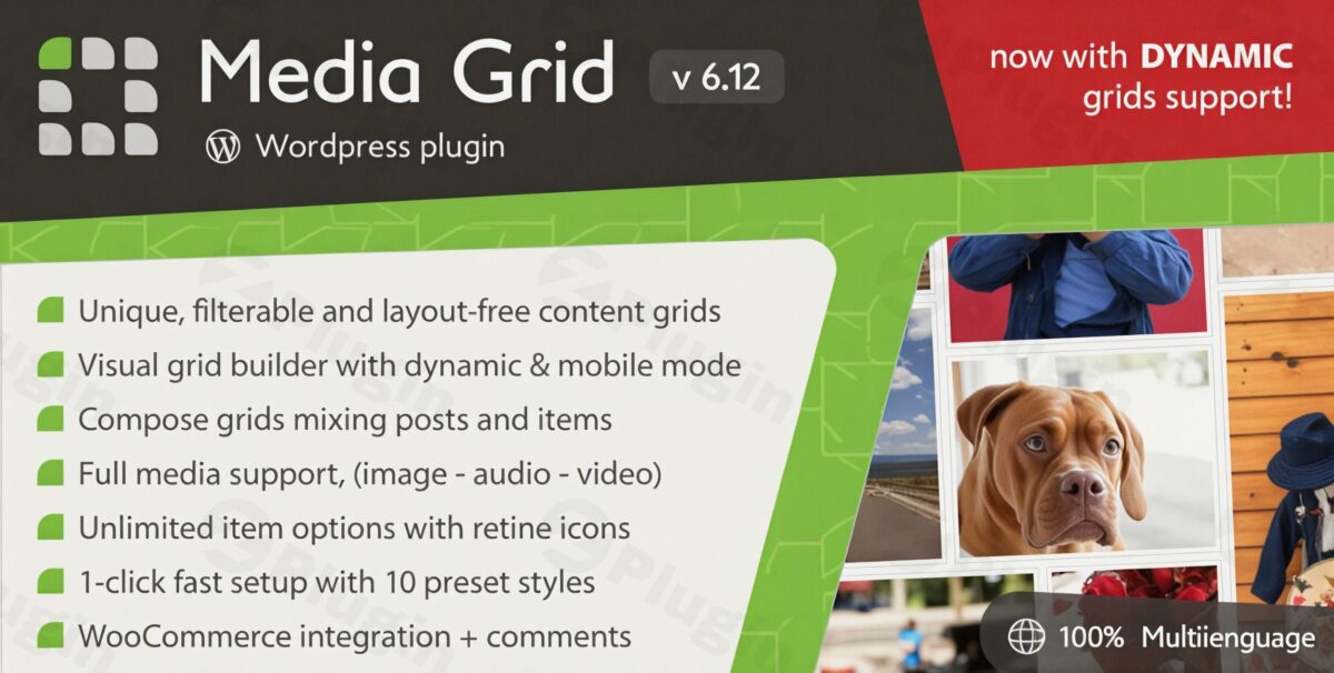 Download Media Grid - Wordpress Responsive Portfolio Plugin (bundle Pack)