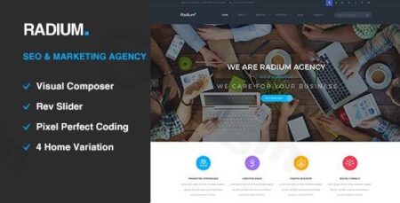 Radium – Seo /digital Agency WordPress Theme radium seo digital agency wordpress theme plugin - Radium - Seo /digital Agency Wordpress Theme