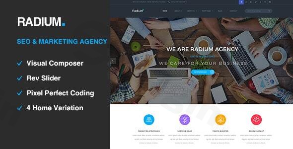 radium seo digital agency wordpress theme plugin - Download WordPress Themes in One Place​