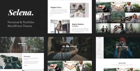 selena multipirpose wordpress theme plugin - Selena. - Multipirpose Wordpress Theme