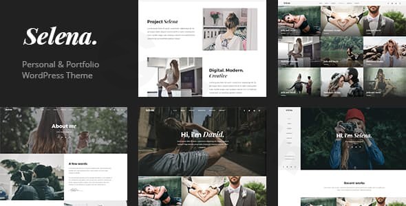 selena multipirpose wordpress theme plugin - Download WordPress Themes in One Place​