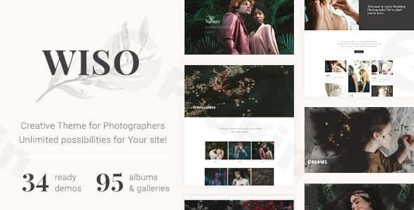 wiso photography wordpress theme plugin - Download WordPress Themes in One Place​