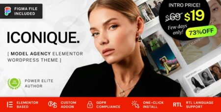 iconique fashion model agency wordpress theme plugin - Downloads