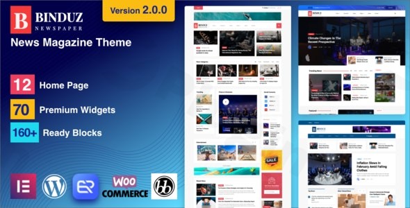 binduz blog magazine newspaper theme plugin - Download WordPress Themes in One Place​