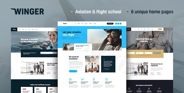 winger aviation flight school wordpress theme plugin - Download WordPress Themes in One Place​